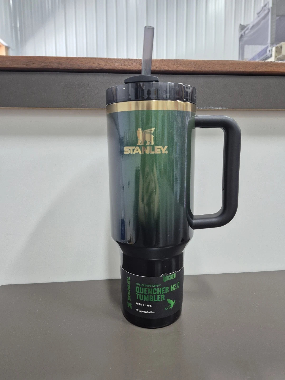 WICKED Elphaba 40 oz Tumbler – Target Exclusive 2024 Authentic Collectible Cup